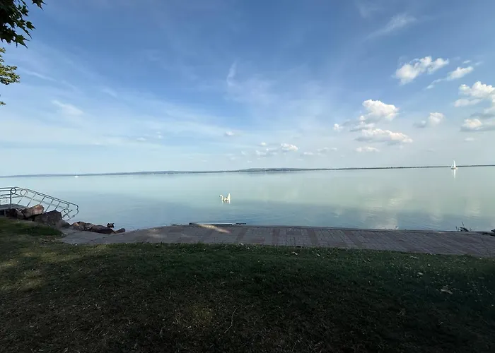 Kertbol A Balatonra * רבפולופ